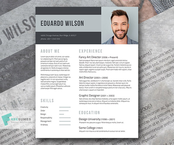 fancy resumes