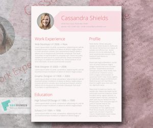 pink resume template freebie – Fancy Resumes