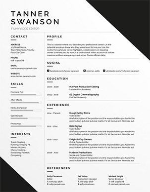 what is a professional resume