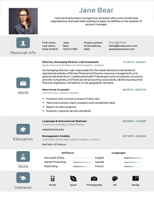 resume template builder fancy resumes fancy resume builder