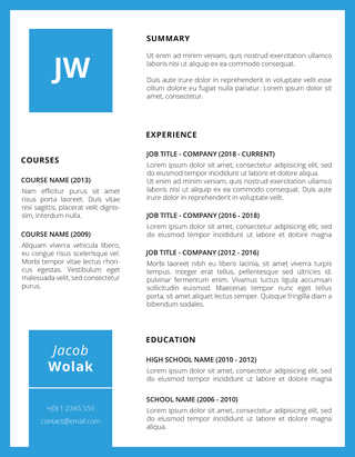 bluette professional resume