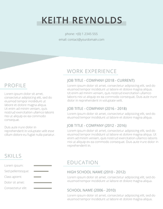 minty resume template